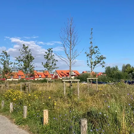 Bades Huk Haus 12 49 - Eg Apartment *